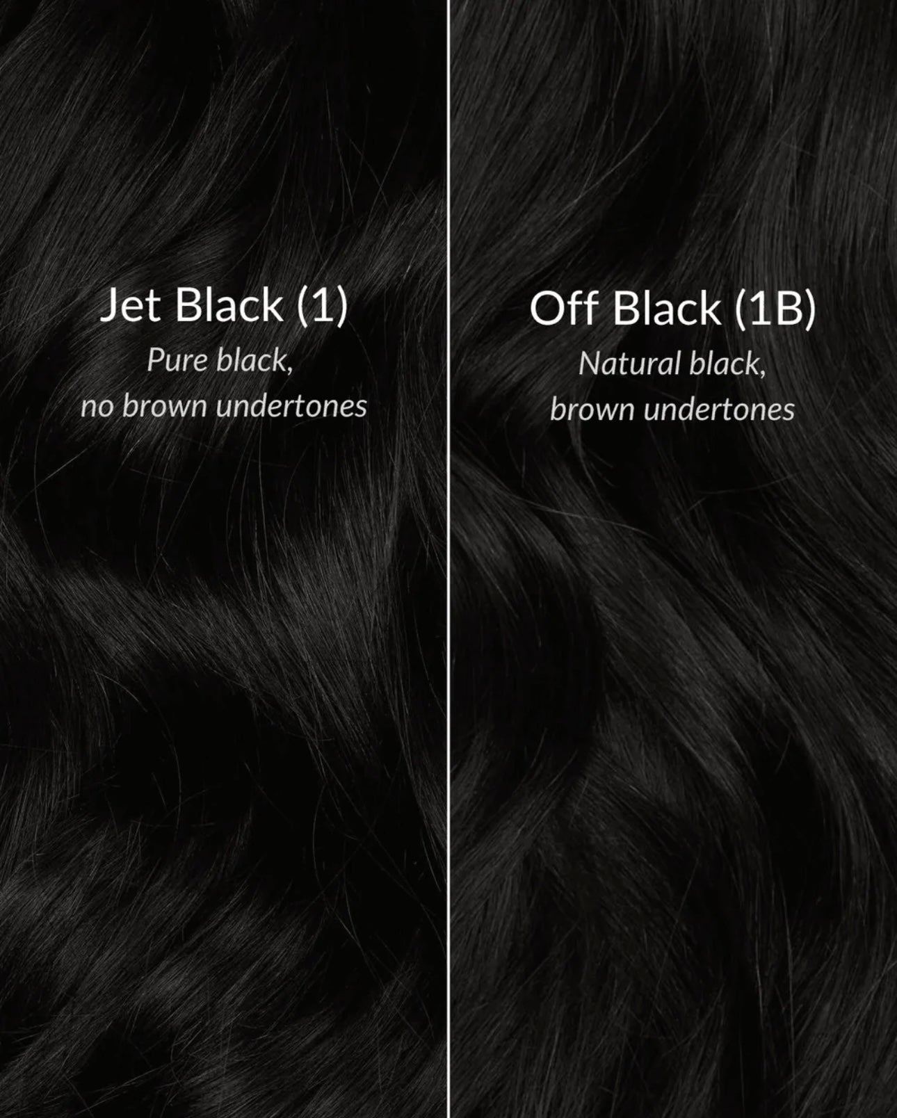 Color My Bundles