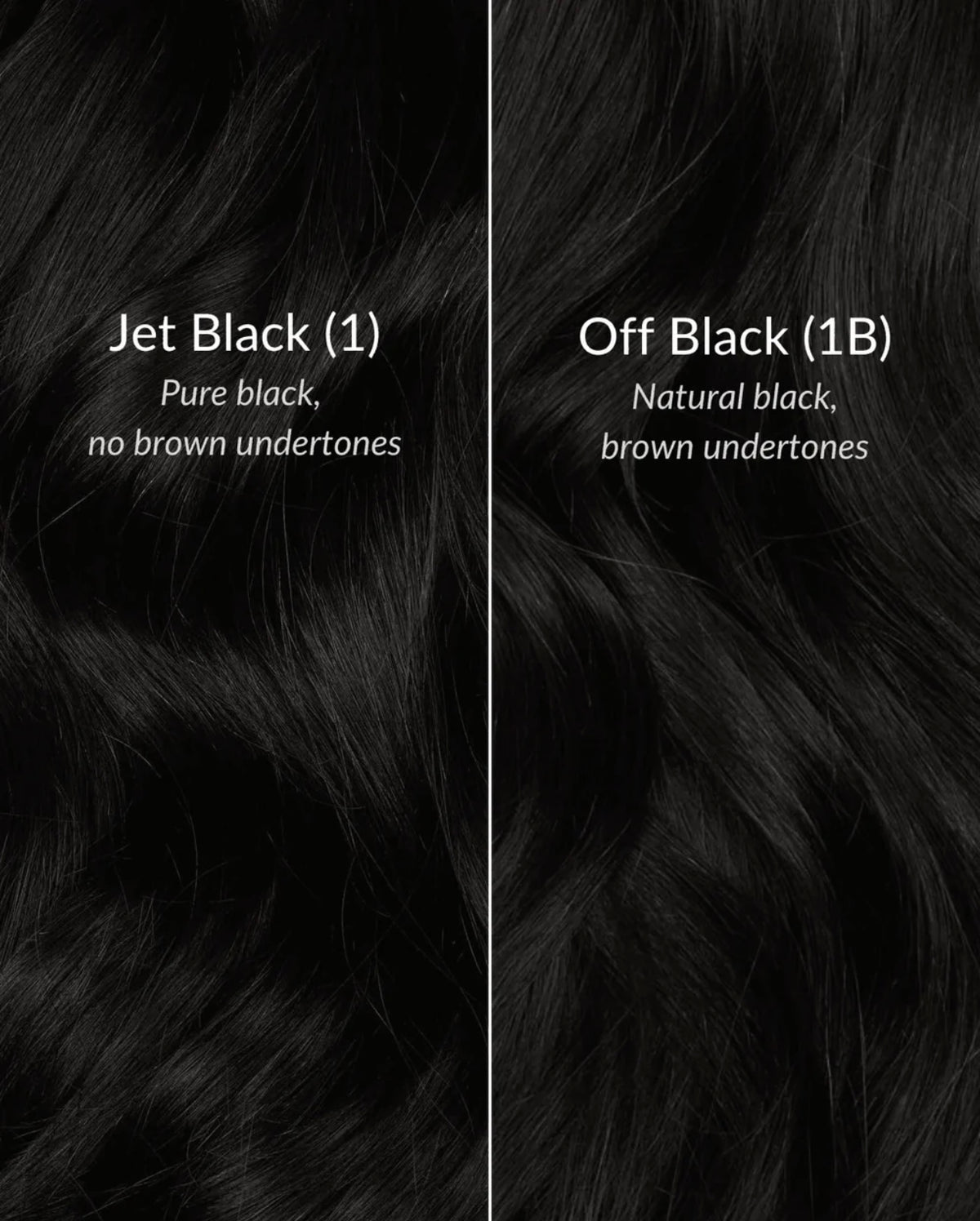 Color My Bundles