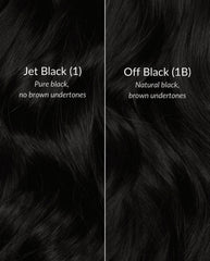 Color My Bundles